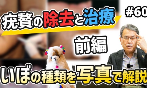 木瓜米酒的功效与作用-木瓜酒酿的功效网 :分享木瓜酒酿蛋有什么功效-木瓜酒酿鸡蛋的功效知识